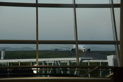 DSC_7459 (Large).JPG